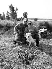 stevenson gun dog and obedience