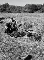 stevenson gun dog and obedience